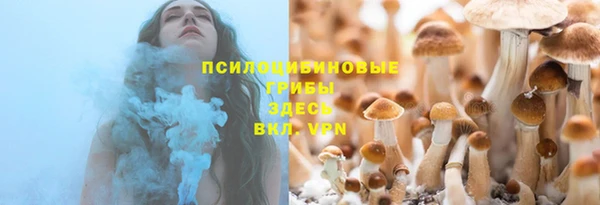 гидропоника Алексеевка