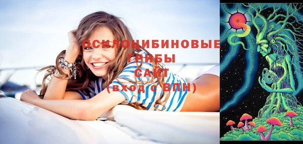 не бодяженный Новозыбков
